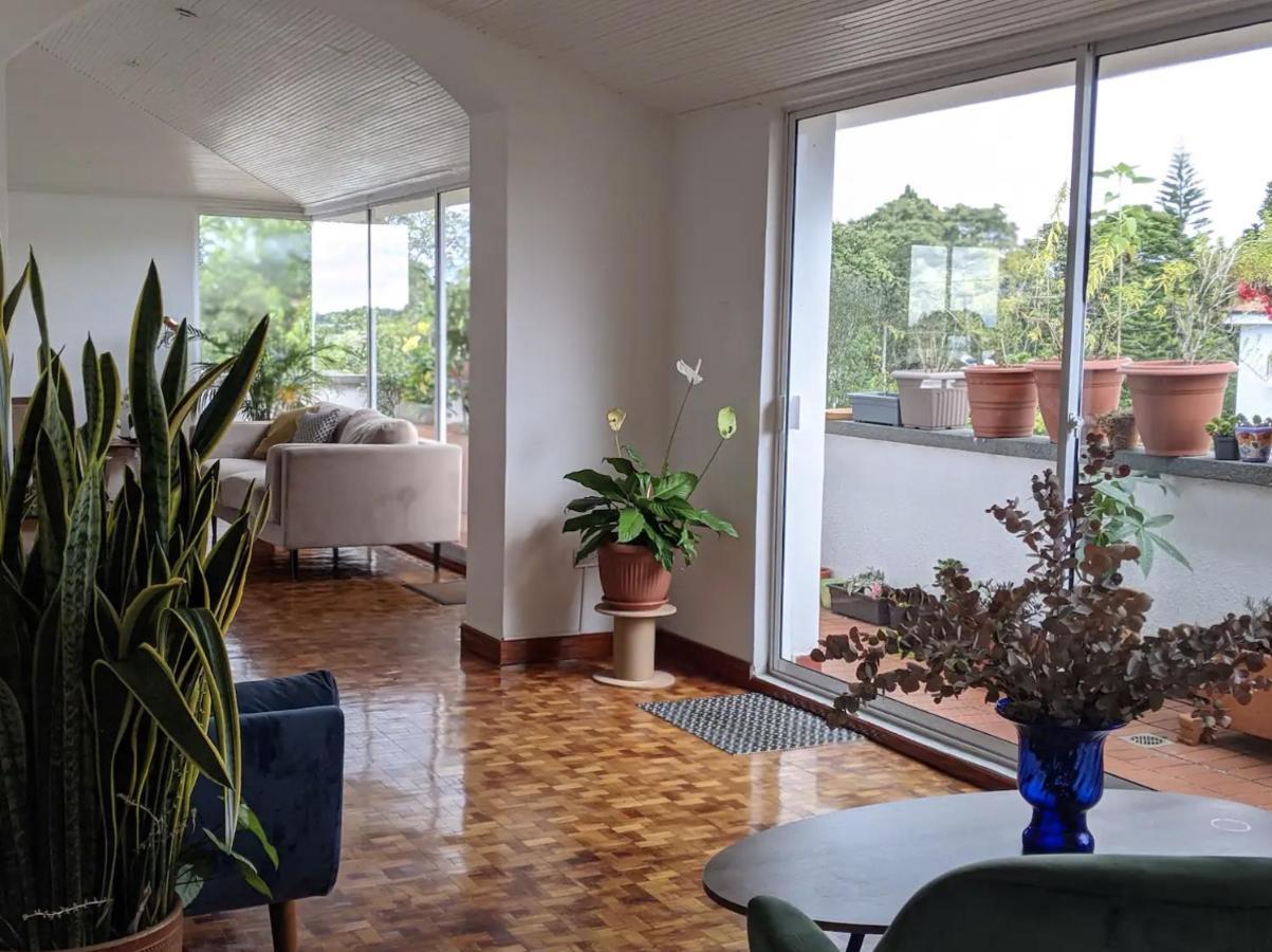 Habitacion En Coliving Penthouse Centro Historico ポパヤン エクステリア 写真